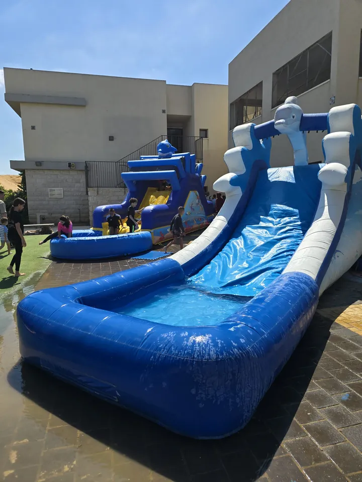 منتفخ الدلفين 9