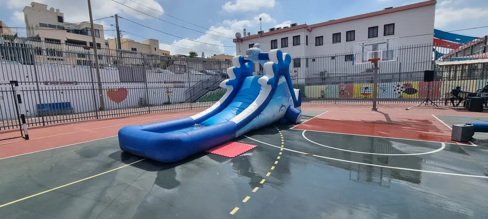 منتفخ الدلفين 10