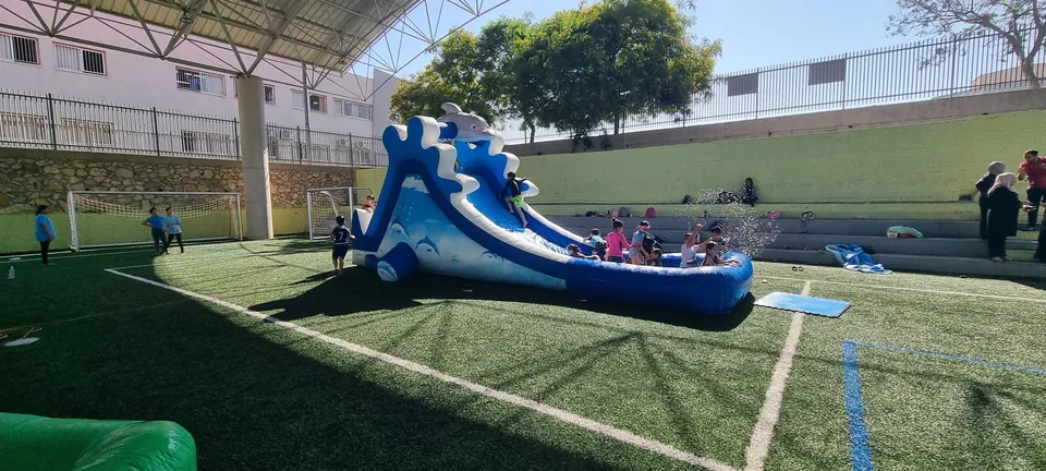 منتفخ الدلفين 12