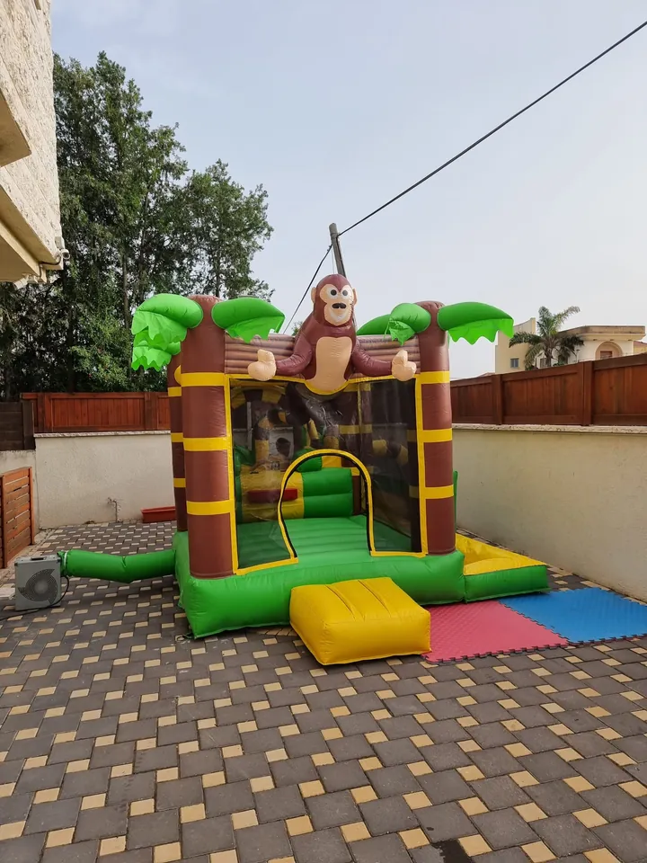 منتفخ القرد 4