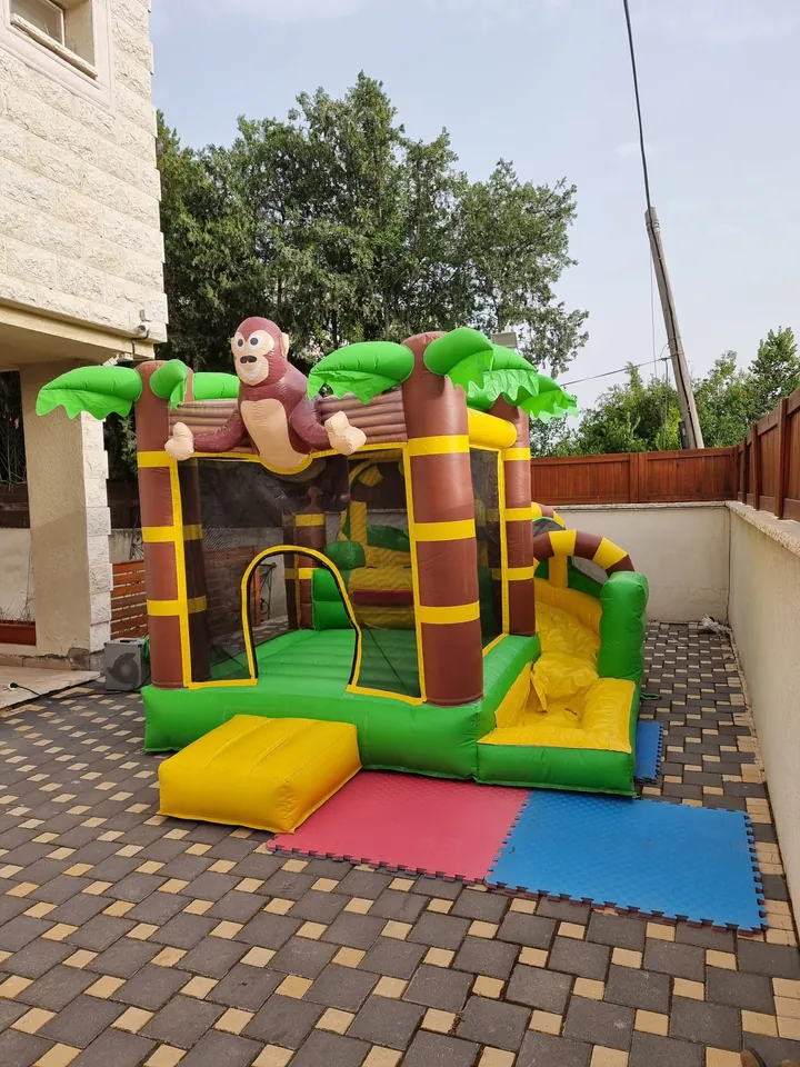 منتفخ القرد 5